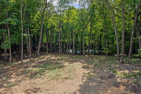601 Fox Hill Drive Chanhassen MN 55317