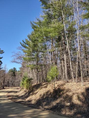 Lot 18 N4xx 297th Street Eau Galle WI 54737