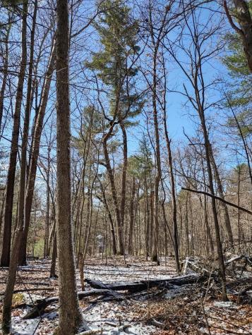 Lot 18 N4xx 297th Street Eau Galle WI 54737