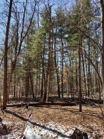 Lot 18 N4xx 297th Street Eau Galle WI 54737