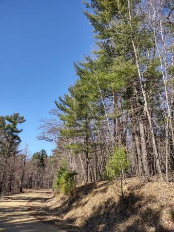 Lot 18 N4xx 297th Street Eau Galle WI 54737