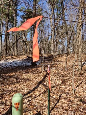 Lot 18 N4xx 297th Street Eau Galle WI 54737