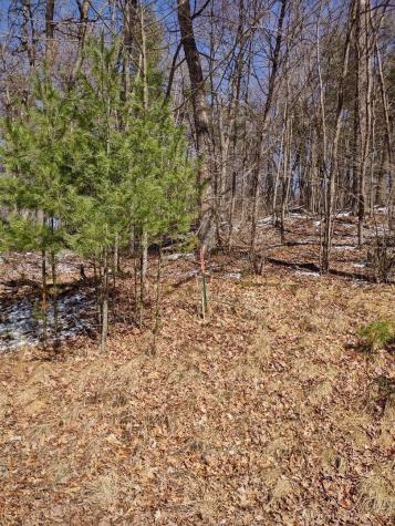 Lot 18 N4xx 297th Street Eau Galle WI 54737