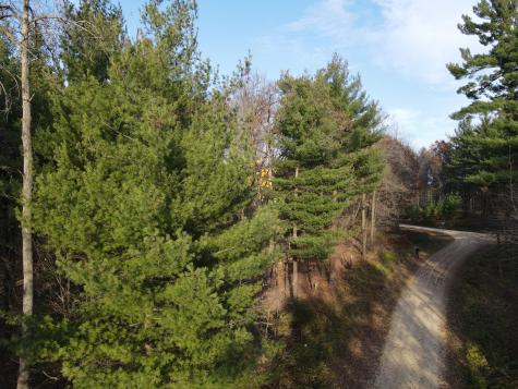 Lot 18 N4xx 297th Street Eau Galle WI 54737