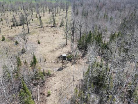 11TBD Gulley Road Maple WI 54854