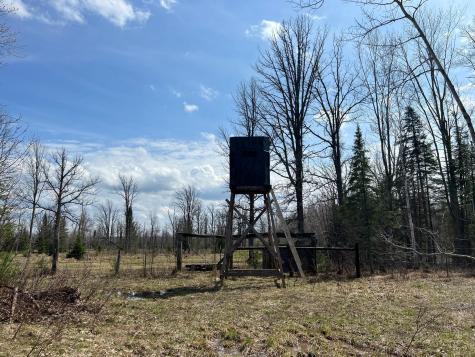 11TBD Gulley Road Maple WI 54854
