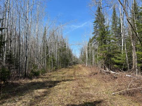 11TBD Gulley Road Maple WI 54854