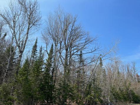 11TBD Gulley Road Maple WI 54854