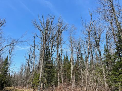 11TBD Gulley Road Maple WI 54854