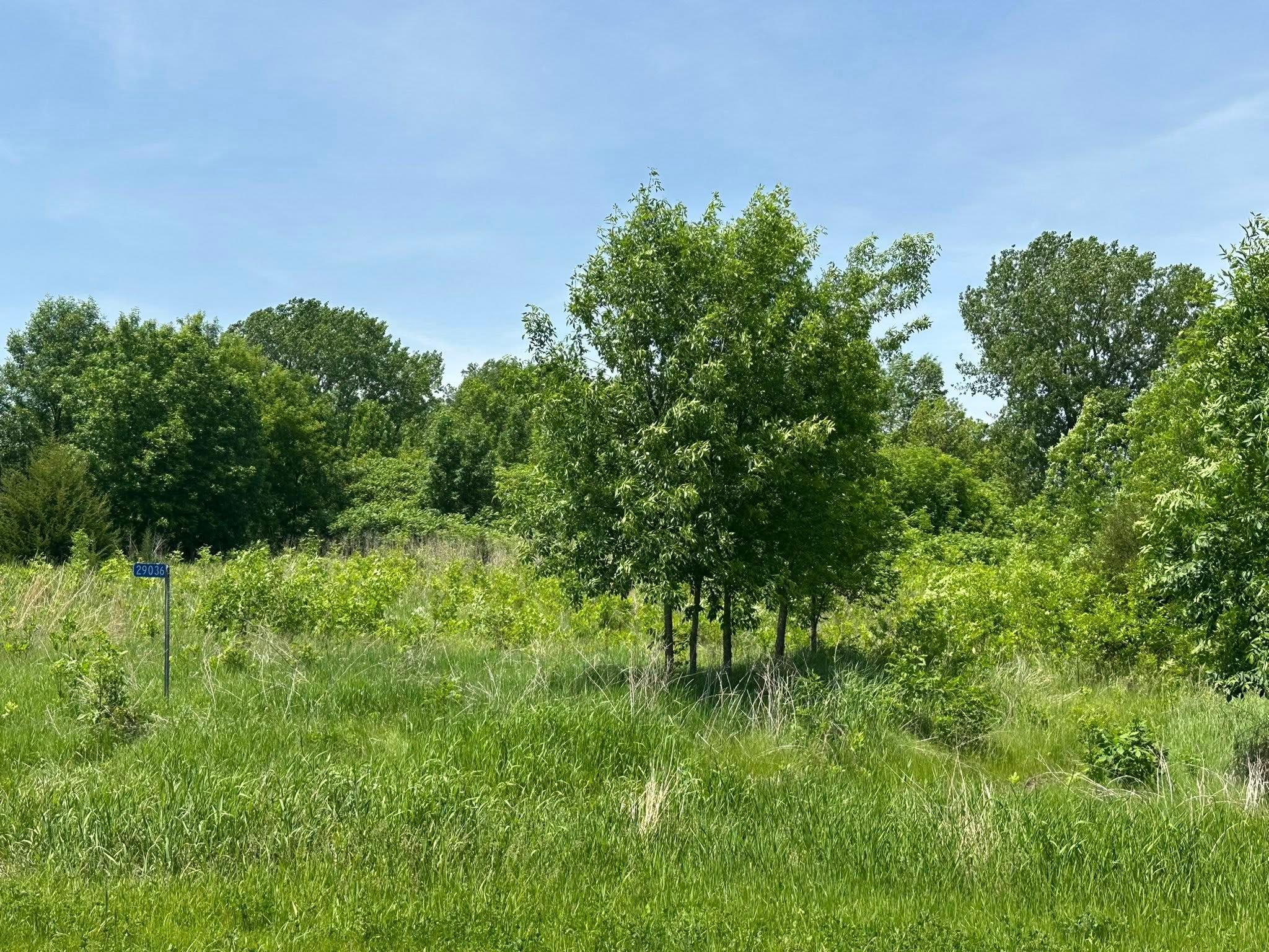 29036 Biehn Drive Madison Lake MN 56063