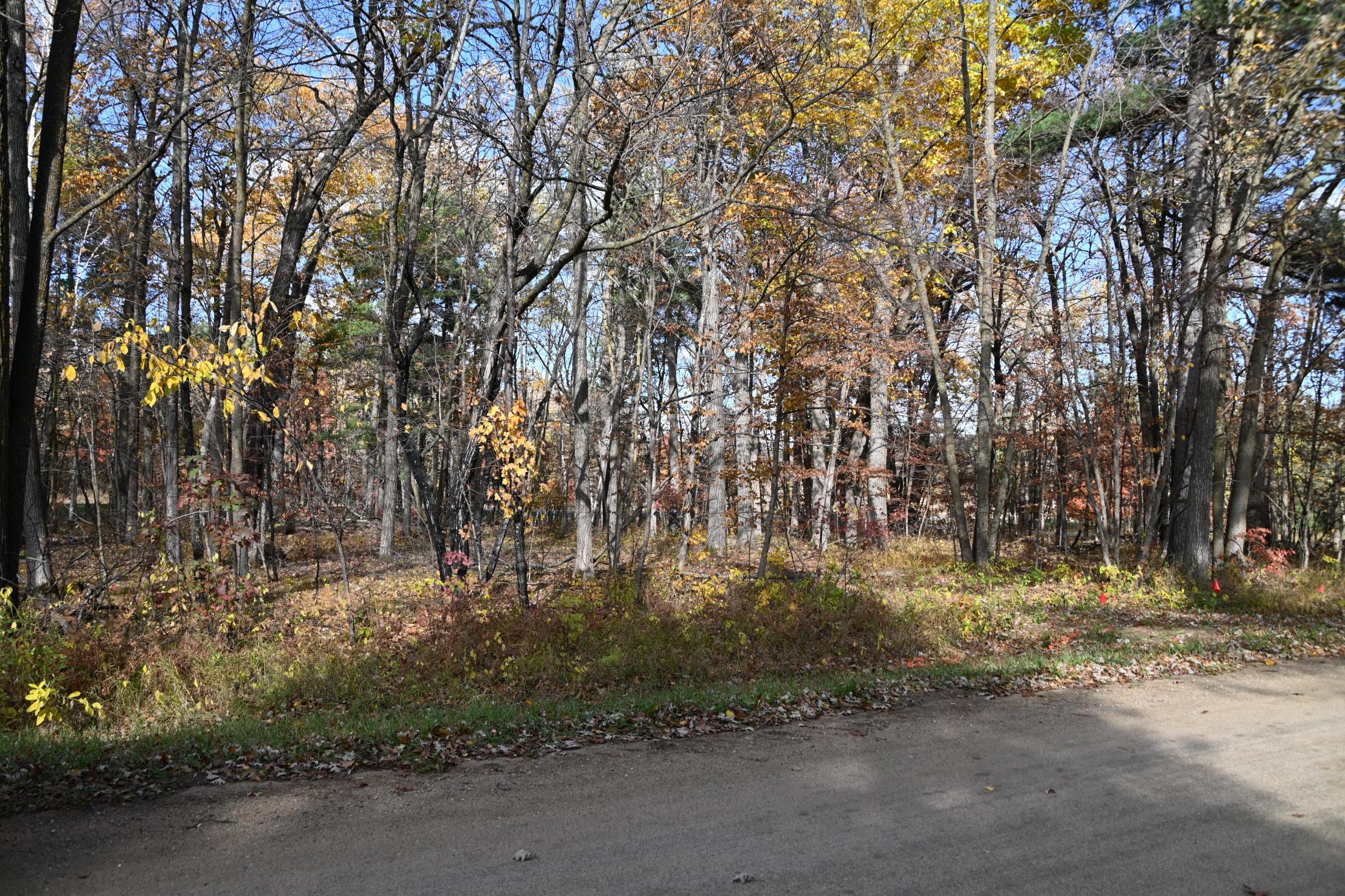 40889 Penelope Loop Browerville MN 56438