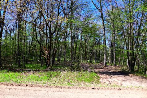 40889 Penelope Loop Browerville MN 56438