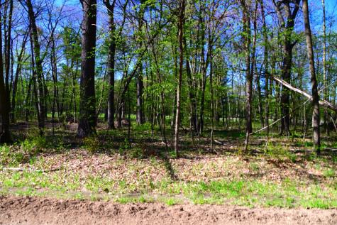 40889 Penelope Loop Browerville MN 56438