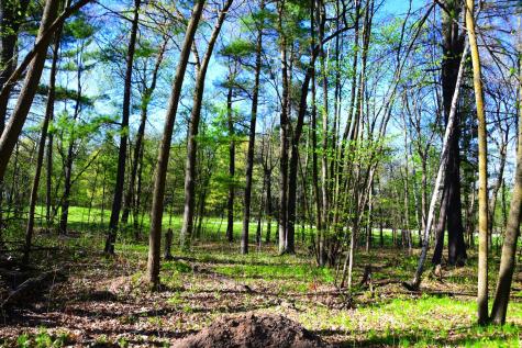 40889 Penelope Loop Browerville MN 56438