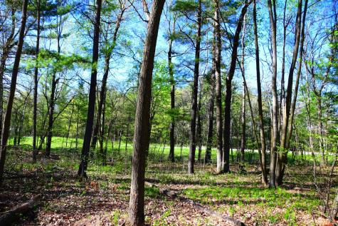 40889 Penelope Loop Browerville MN 56438