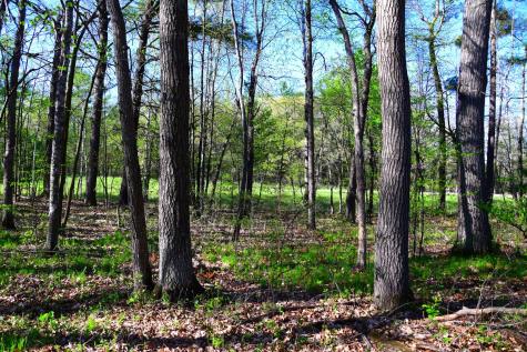 40889 Penelope Loop Browerville MN 56438
