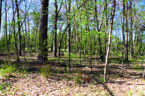 40889 Penelope Loop Browerville MN 56438