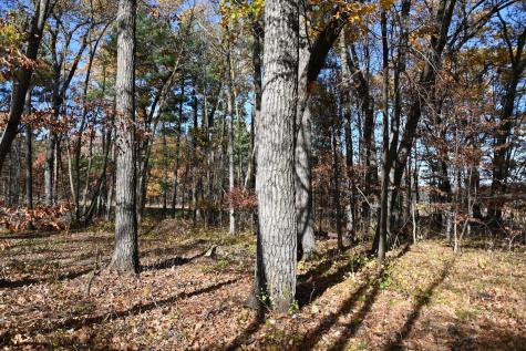 40889 Penelope Loop Browerville MN 56438