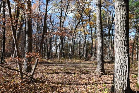 40889 Penelope Loop Browerville MN 56438