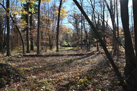 40889 Penelope Loop Browerville MN 56438