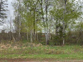 3730 S Maple Drive Barnum Twp MN 55707