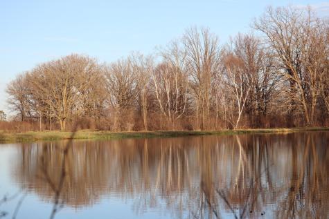 Tbd 60th Street SW Pequot Lakes MN 56472