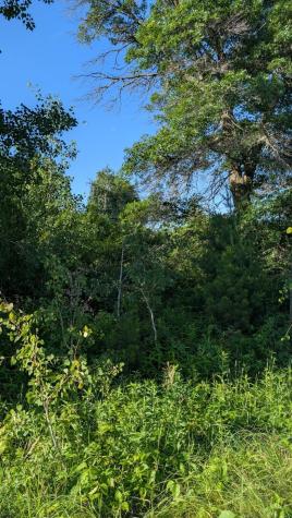 Tbd 60th Street SW Pequot Lakes MN 56472