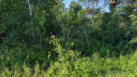 Tbd 60th Street SW Pequot Lakes MN 56472