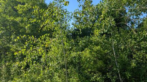 Tbd 60th Street SW Pequot Lakes MN 56472
