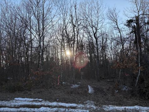 Tbd Pincherry NE Bemidji MN 56601