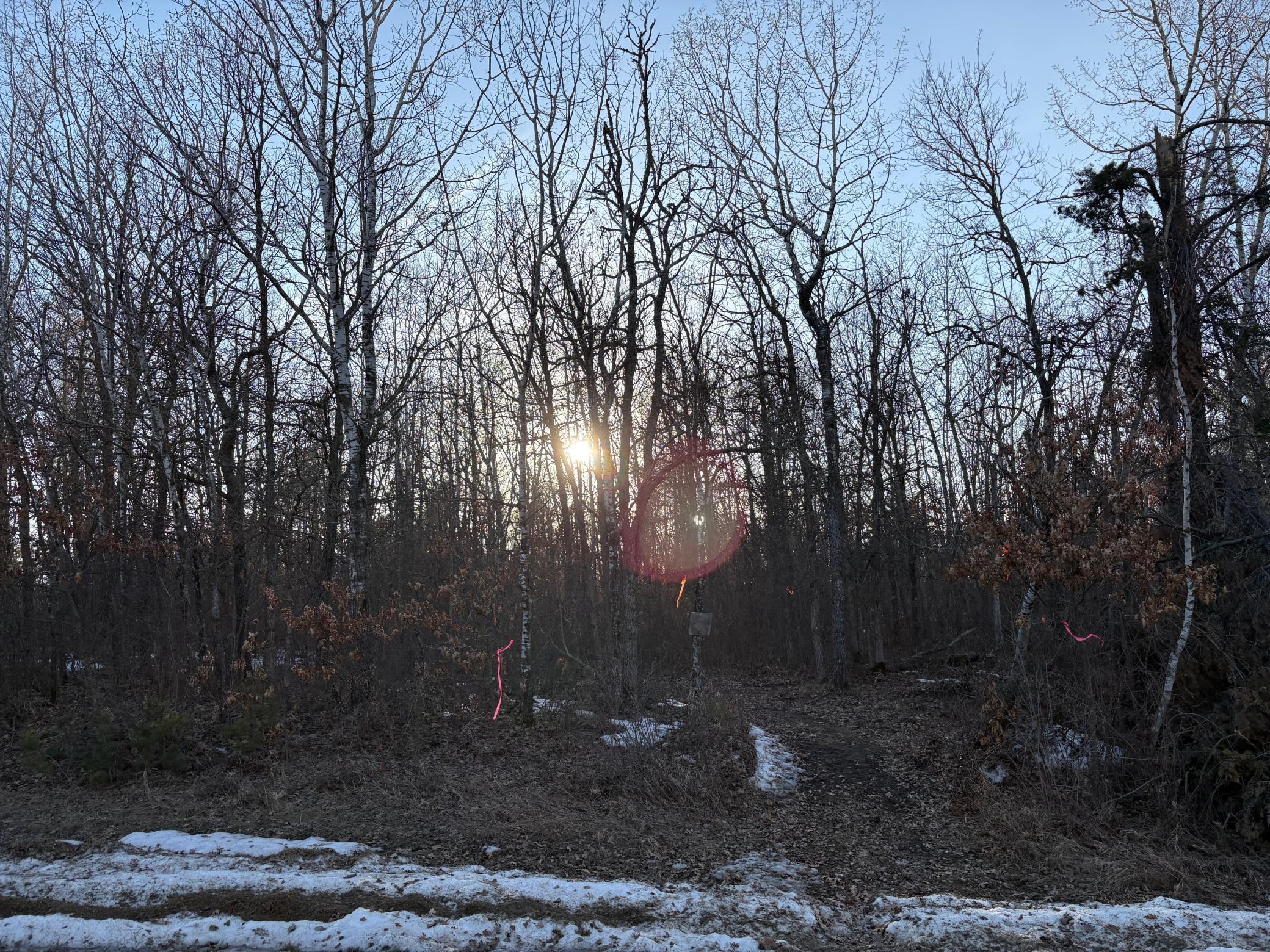Tbd Pincherry NE Bemidji MN 56601