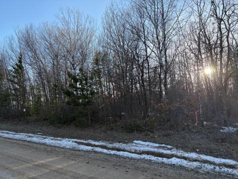 Tbd Pincherry NE Bemidji MN 56601