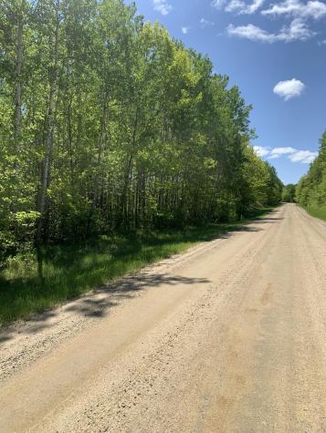 Tbd 63rd Ave N Walker MN 56484