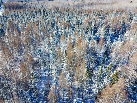 Xxxx Highway 73 Cromwell MN 55726