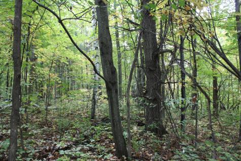 000 St Croix Trail Taylors Falls MN 55084