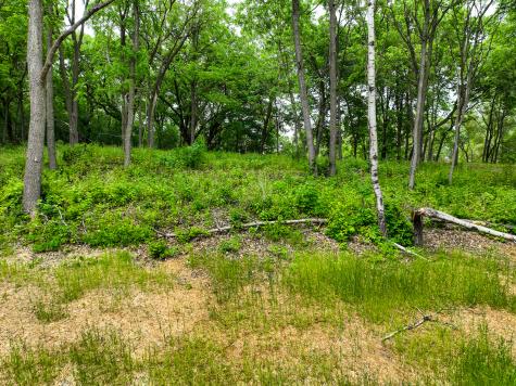 2685 Woodcliffe Trail Hastings MN 55033