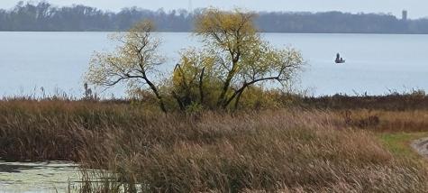 Tbd Reno View Drive SW Alexandria MN 56308