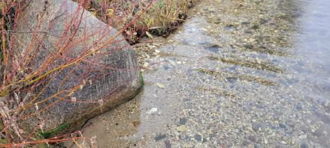 Tbd Reno View Drive SW Alexandria MN 56308