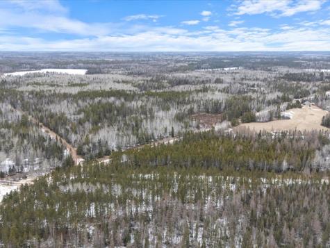 3XXX County Road 904 Babbitt MN 55706