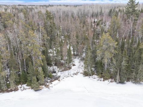 3XXX County Road 904 Babbitt MN 55706