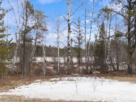 3XXX County Road 904 Babbitt MN 55706
