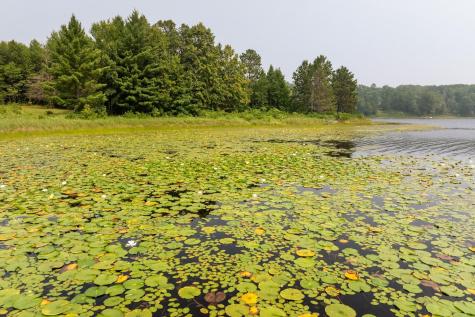 Lot 1 Turtle Lake Drive NW Walker MN 56484