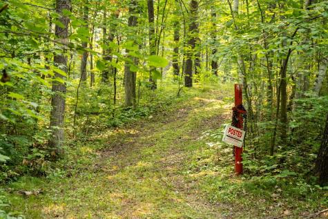 Lot 1 Turtle Lake Drive NW Walker MN 56484