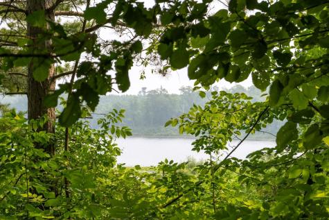 Lot 1 Turtle Lake Drive NW Walker MN 56484