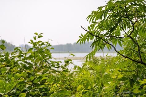Lot 1 Turtle Lake Drive NW Walker MN 56484