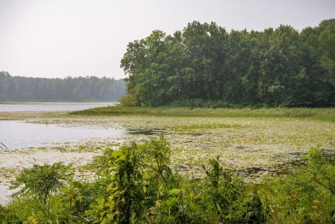 Lot 1 Turtle Lake Drive NW Walker MN 56484