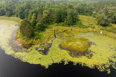 Lot 1 Turtle Lake Drive NW Walker MN 56484