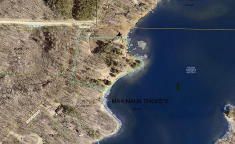 Lot 1 Turtle Lake Drive NW Walker MN 56484