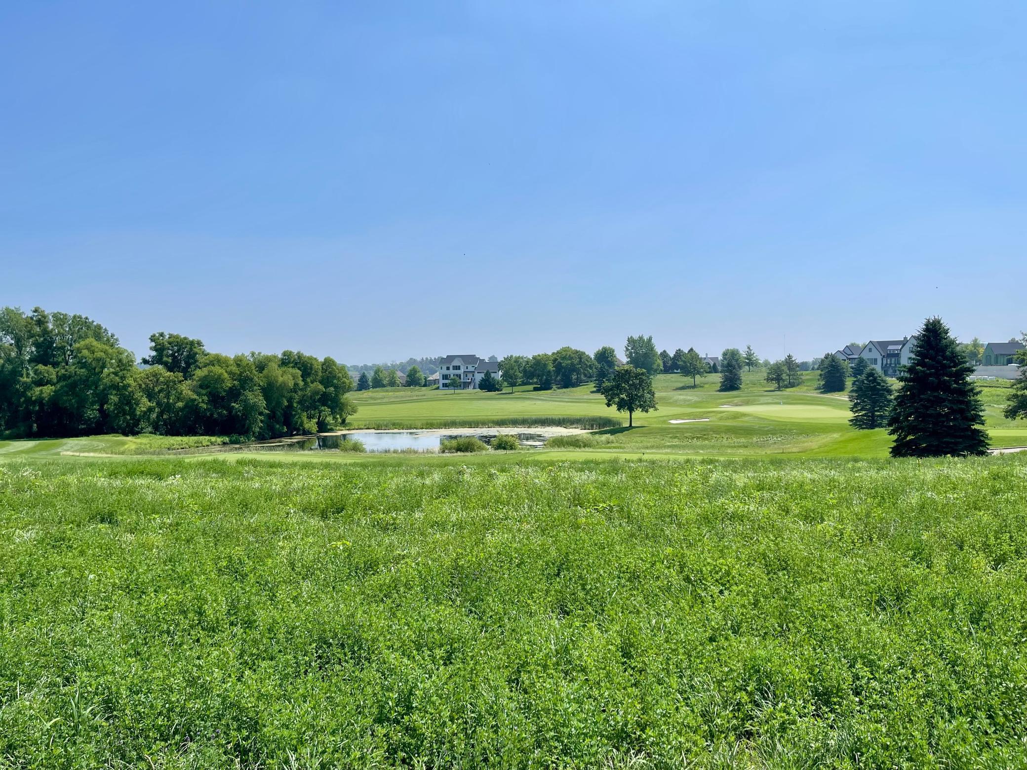 1466 Delamere Drive NE Byron MN 55920