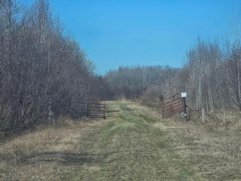 Tbd Xxx Savanna Road +/- 210 Tbd Xxx Savanna Road +/- 210 Floodwood MN 55736